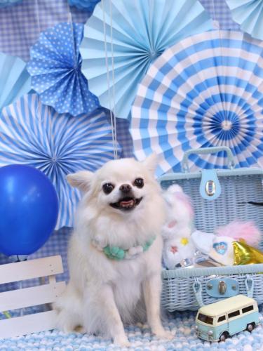 20231108りゅうくん